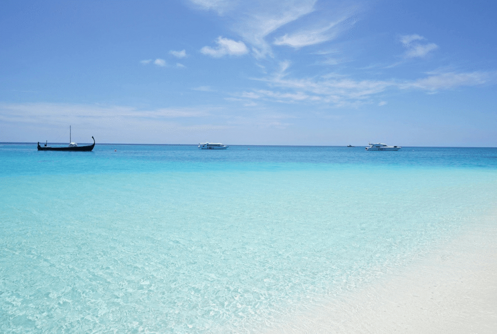 paquete aruba 4