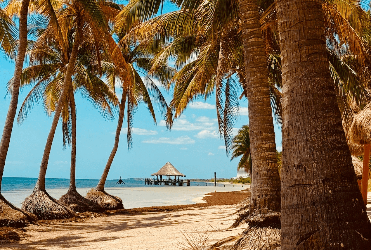 paquete playa del carmen 4