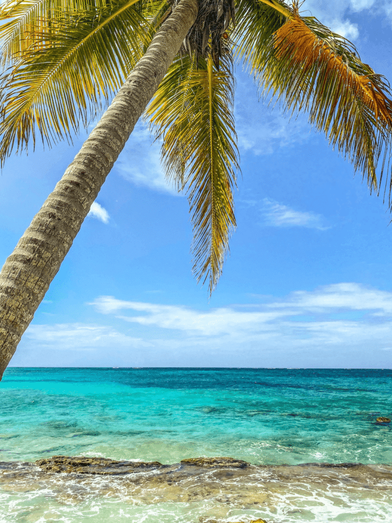 paquete san andres 5