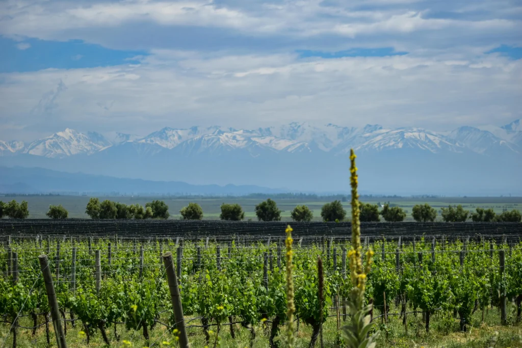 mendoza, san juan y la rioja