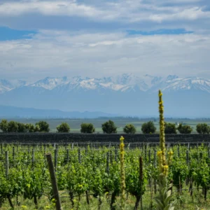 mendoza, san juan y la rioja