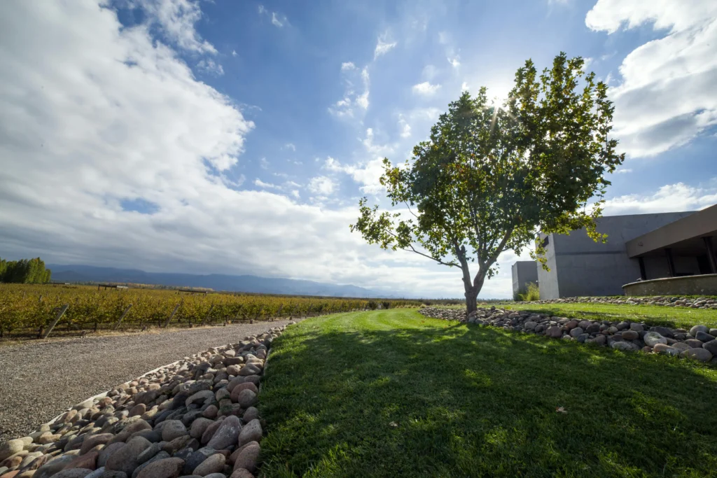 mendoza, san juan y la rioja