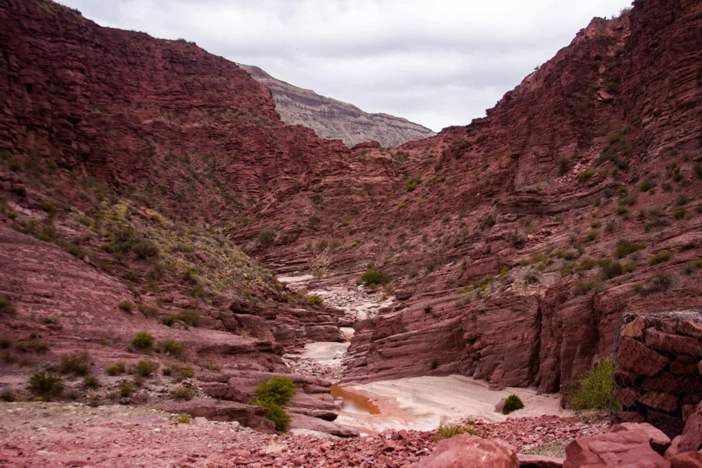 mendoza, san juan y la rioja