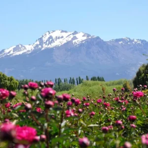 viaje a trevelin, chubut.