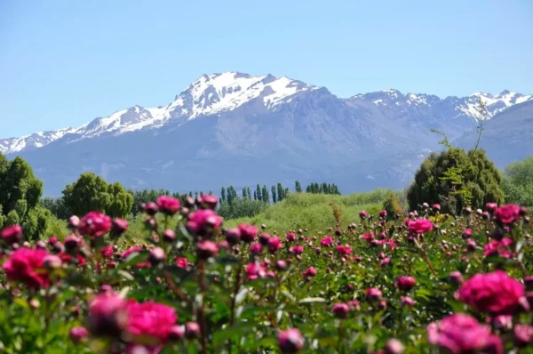 viaje a trevelin, chubut.
