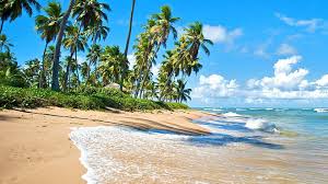praia do forte all inclusive